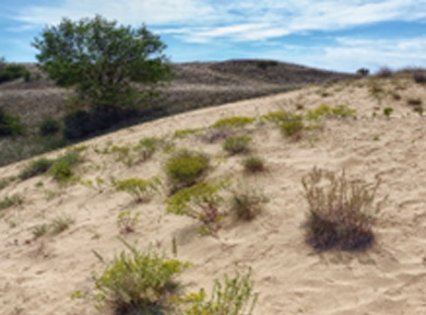 Együtt a természetbe!