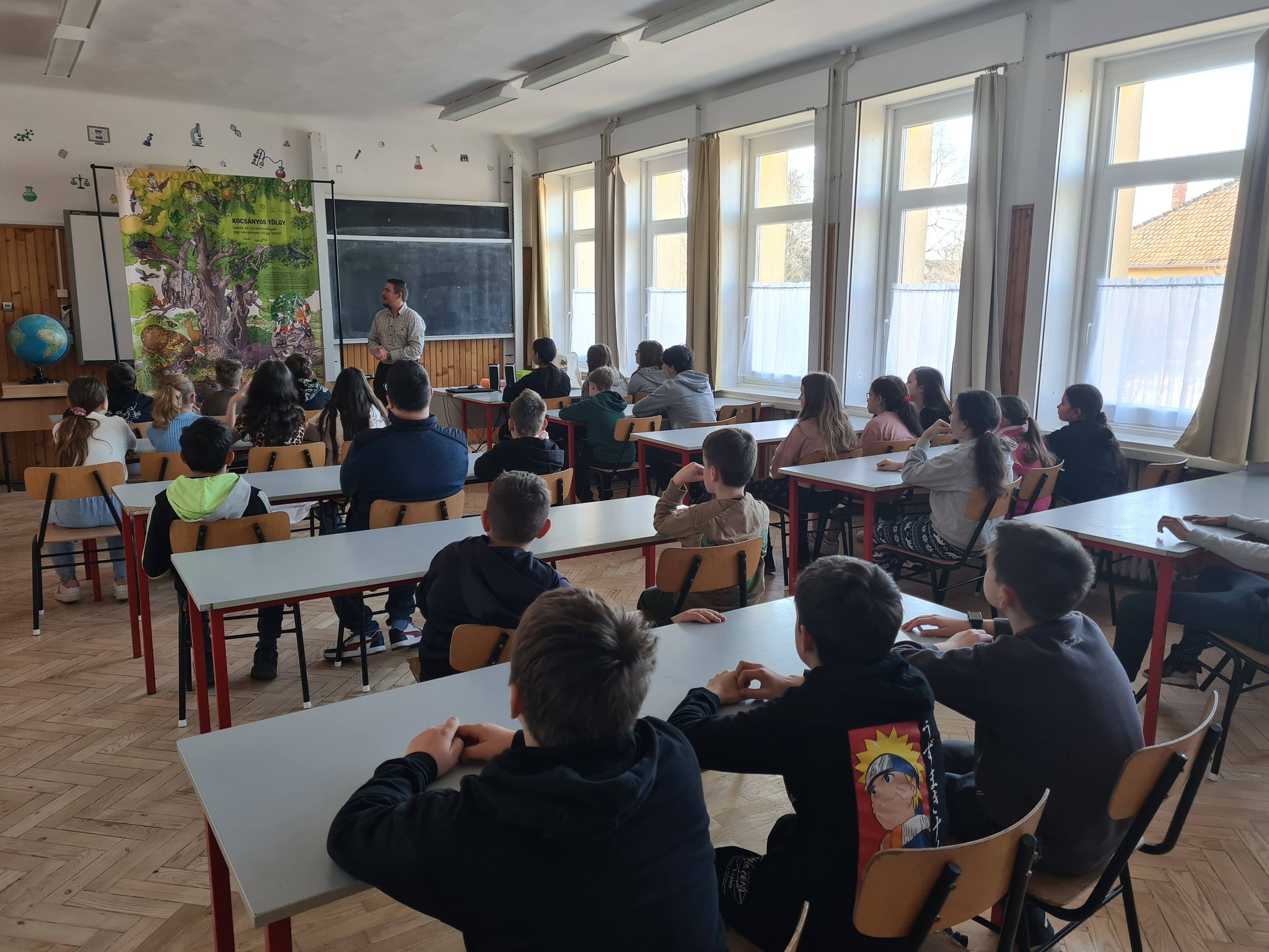 Iskolában az Erdő Program